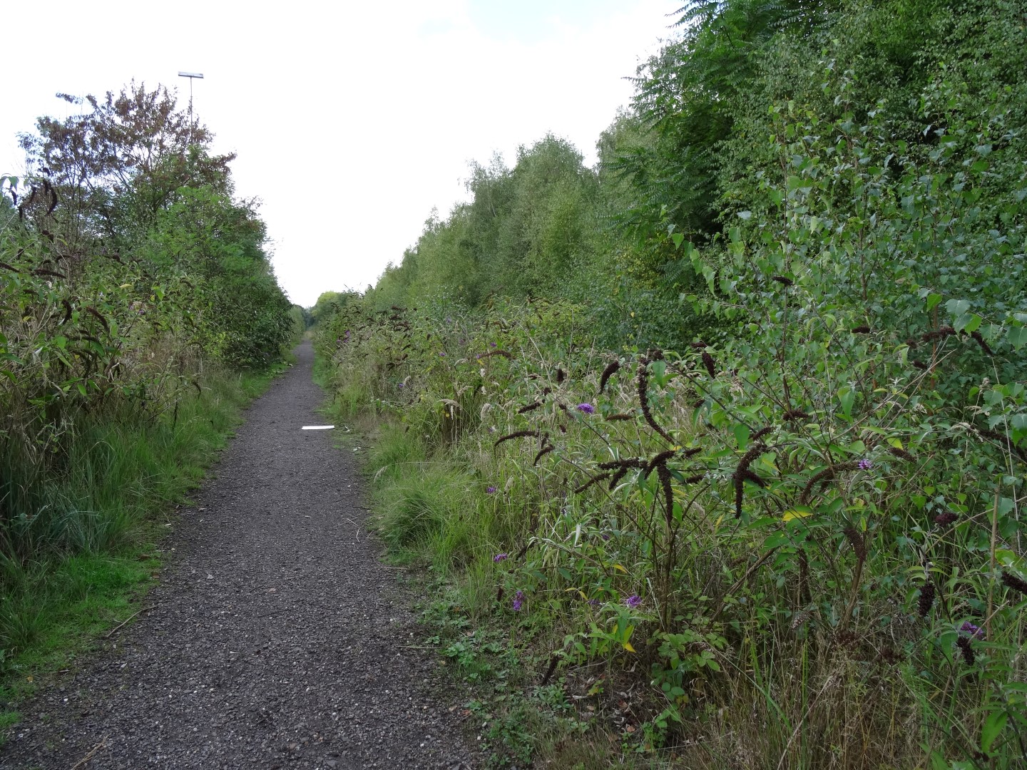 Weg neben dem alten Gleisbett Weg neben dem alten Gleisbett