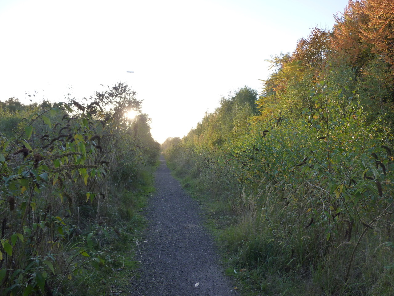 Weg neben dem ehemaligen Gleisbett Weg neben dem ehemaligen Gleisbett
