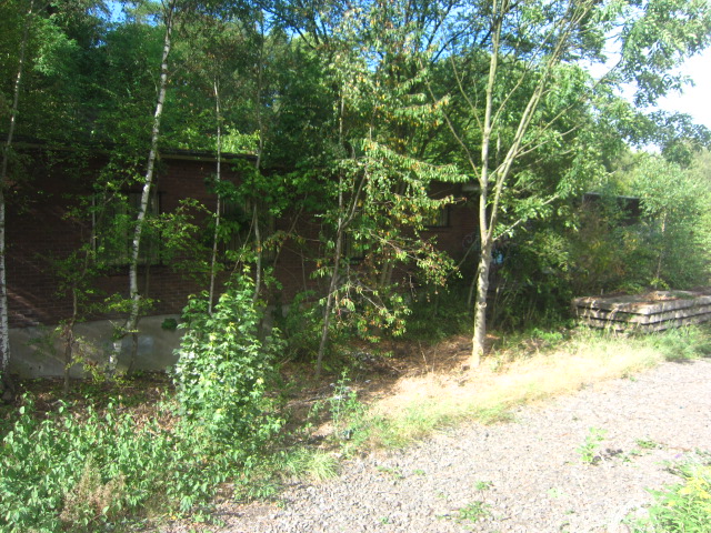 IMG_5226.jpg IMG_5226.jpg