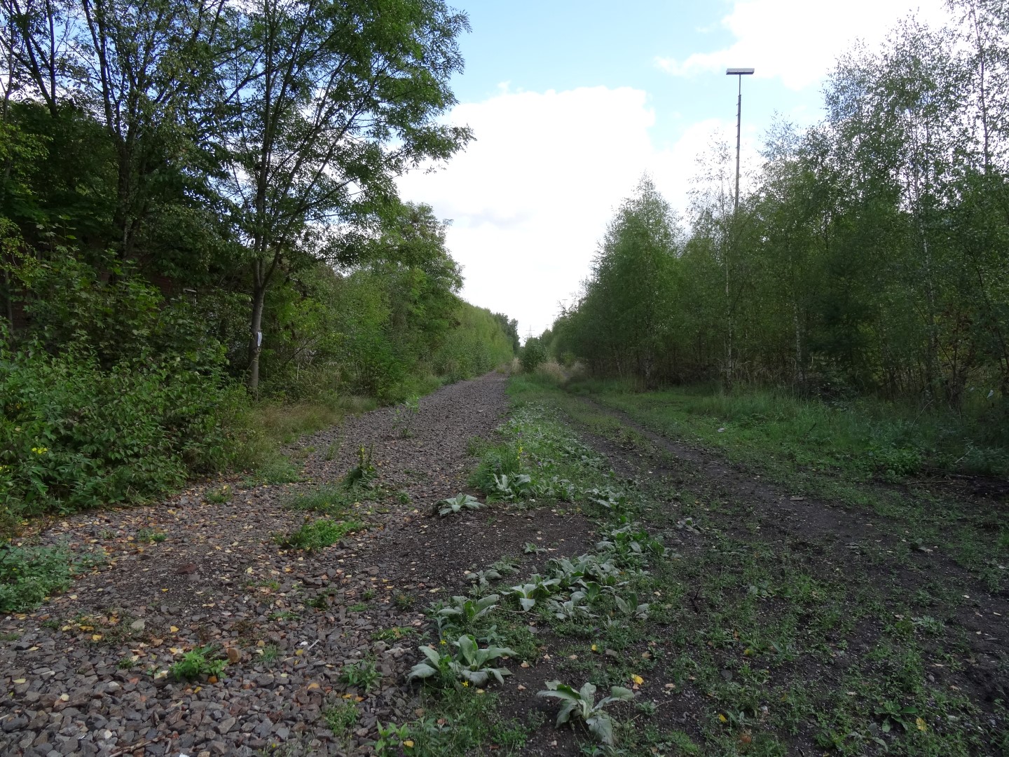 Ehemaliges Gleisbett, Richtung Kraftwerk Ehemaliges Gleisbett, Richtung Kraftwerk